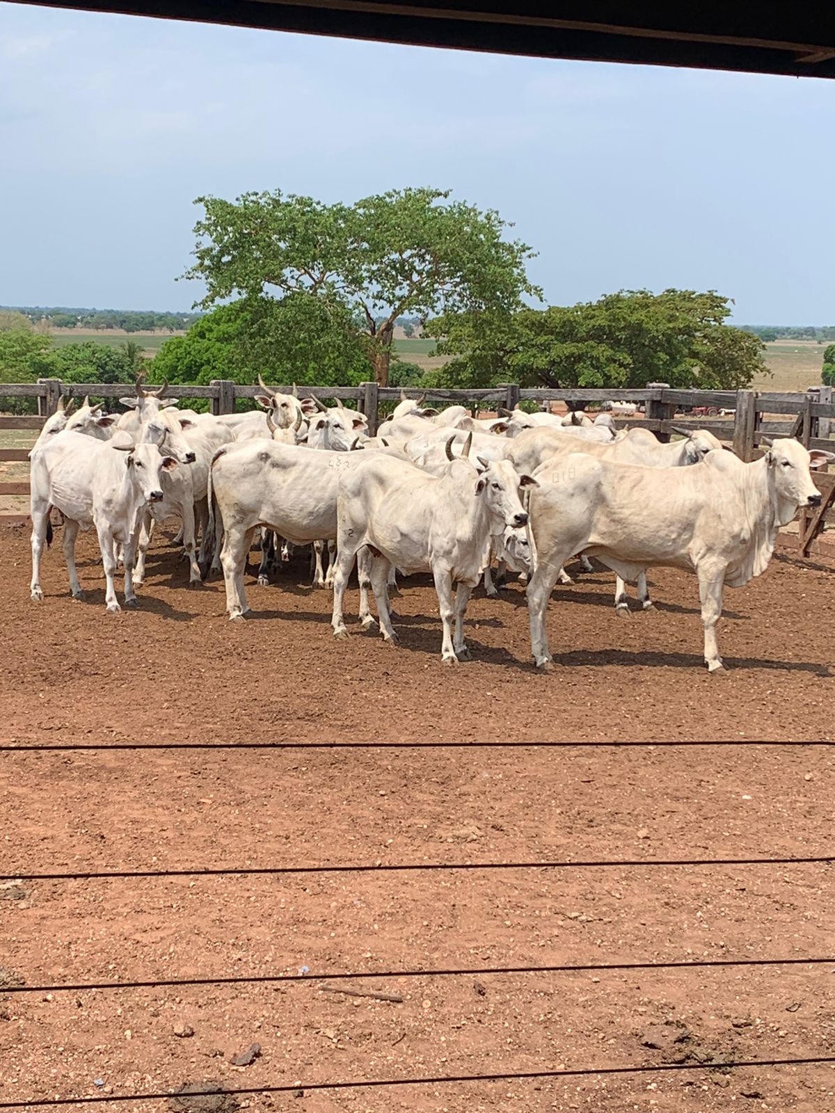 Certificações Aprovadas